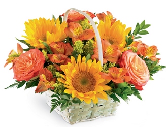 Happy Blooms Basket -A local Pittsburgh florist for flowers in Pittsburgh. PA